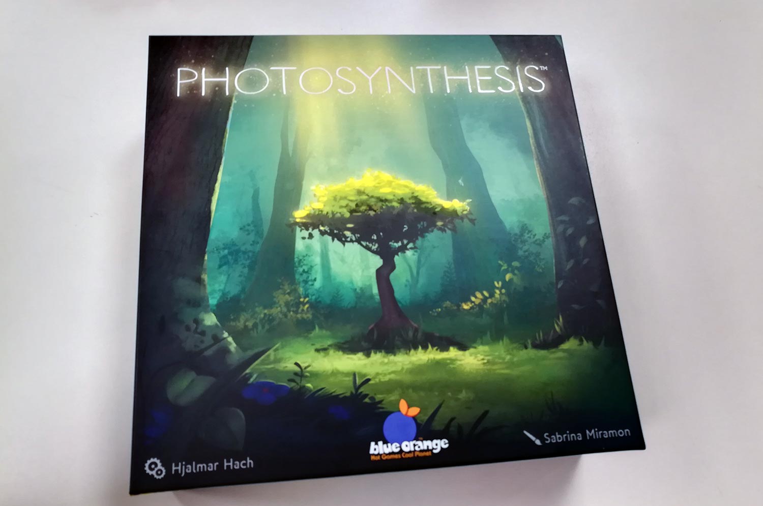 Photosynthesis: Ich seh den Wald vor lauter Bäumen nicht mehr…