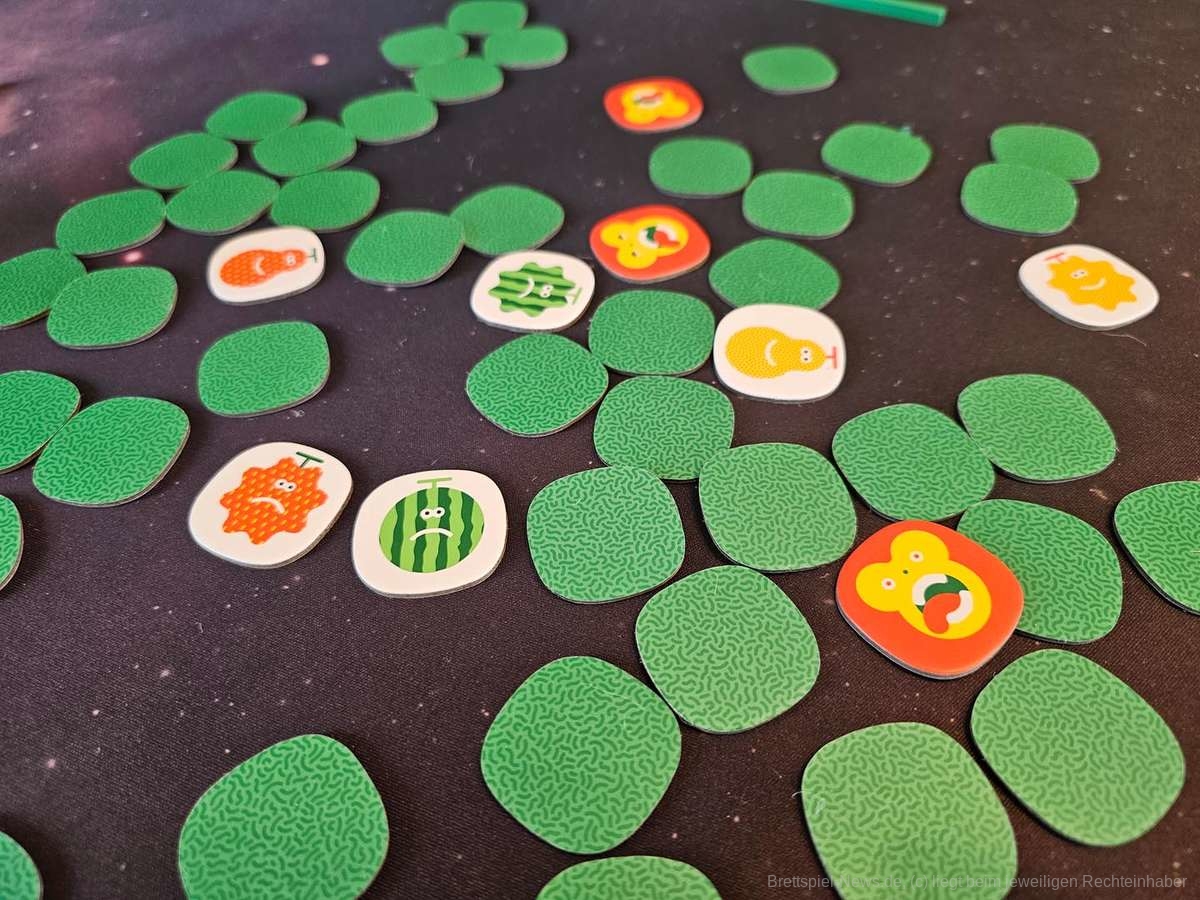 quickity pickity test 005