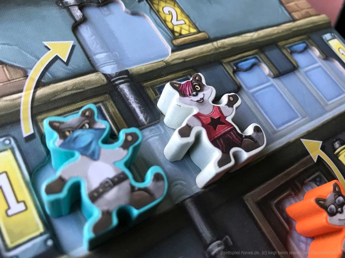 raccoon robbers test 011