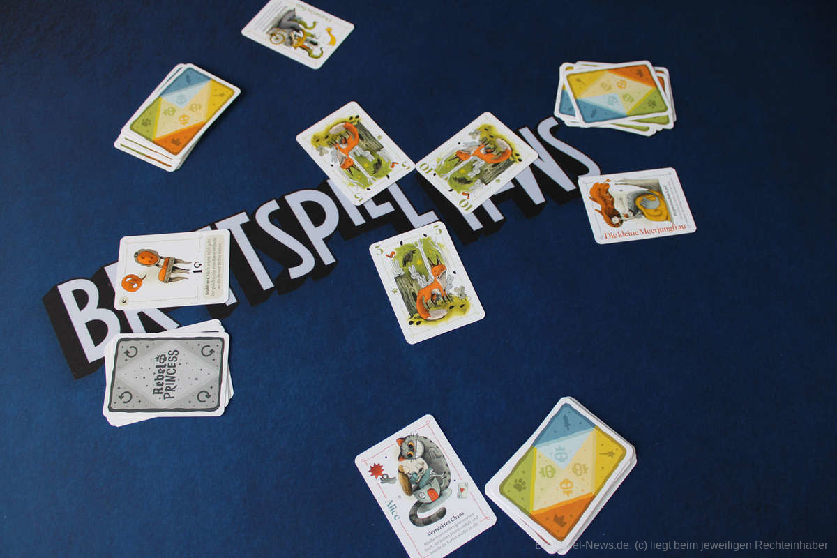 rebell princess test 003