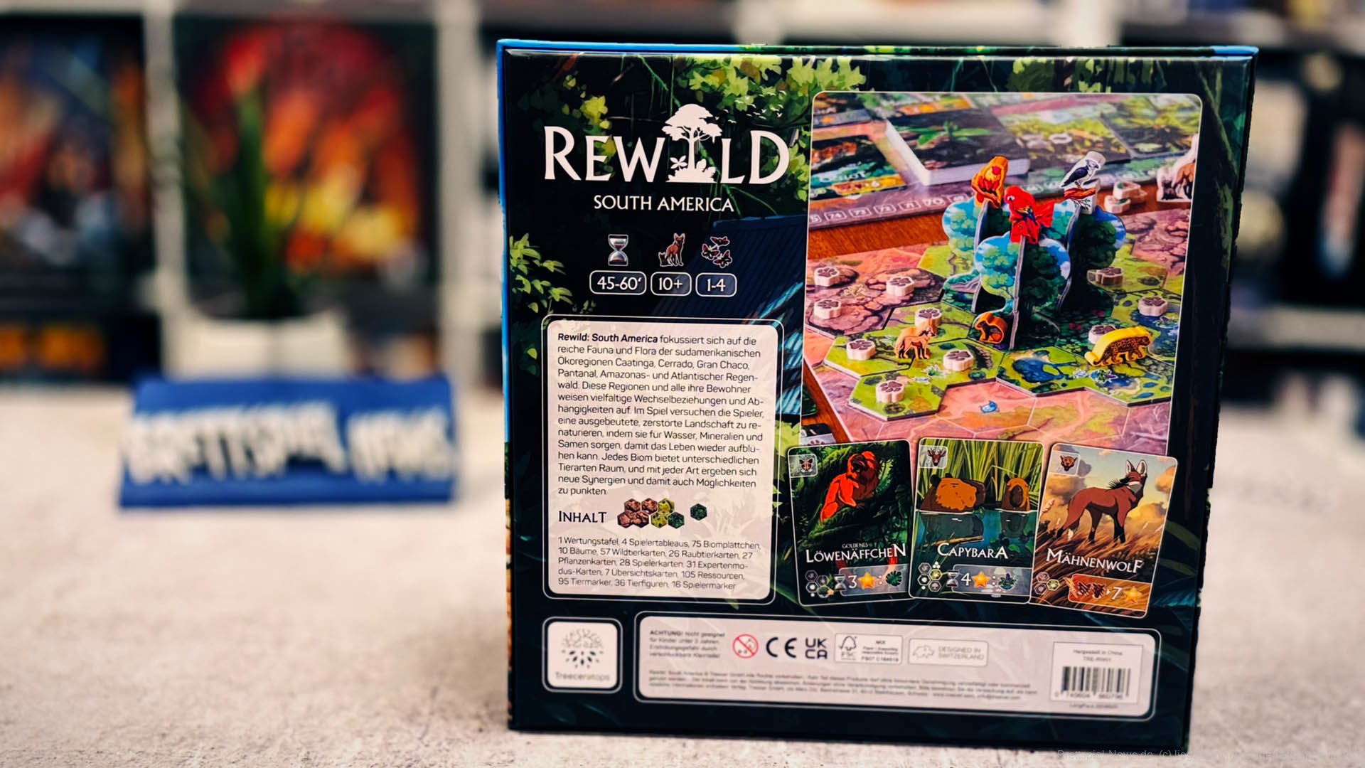 rewild 001