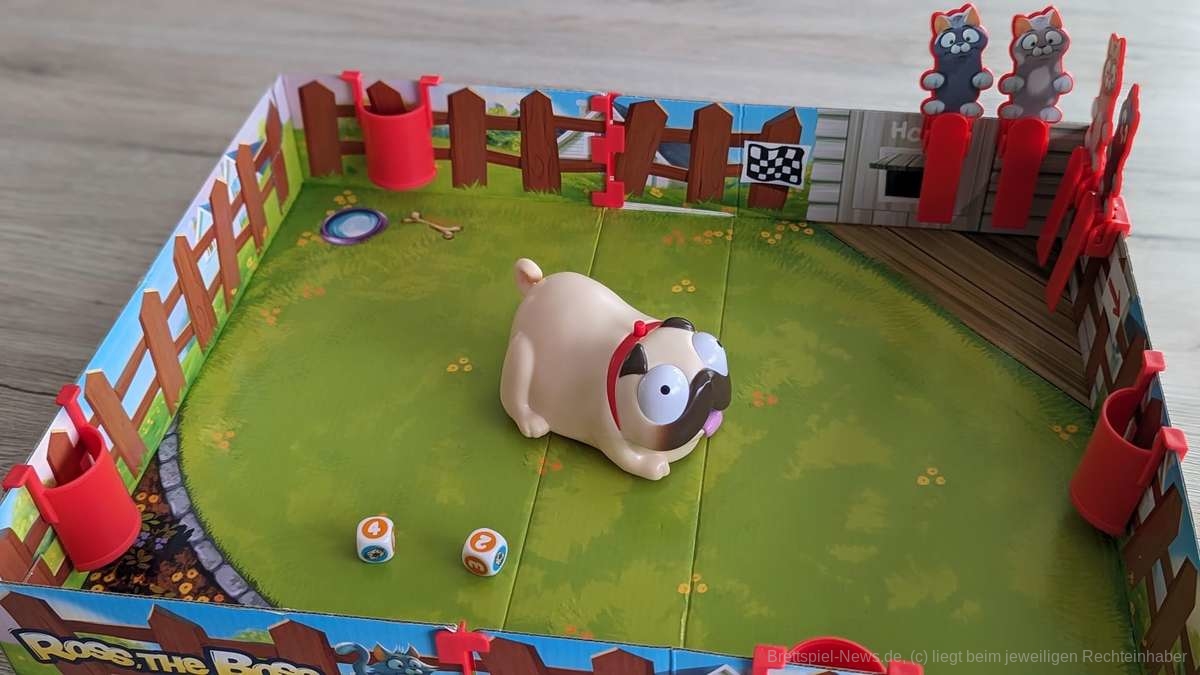 ross the boss test 004 min