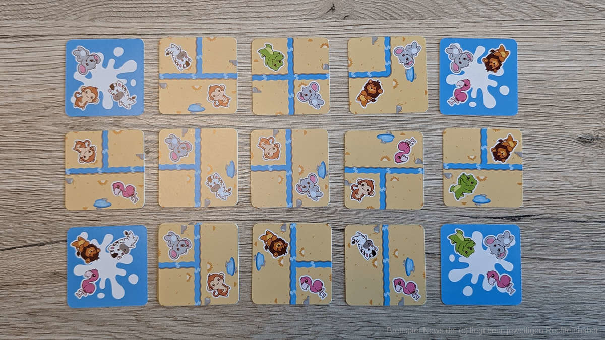 safari splash test 004