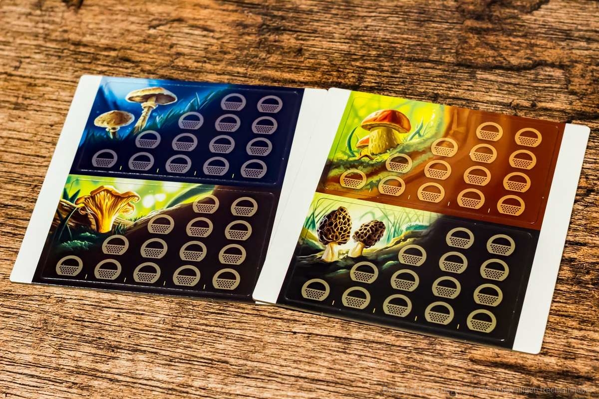 schaetze des waldes 003