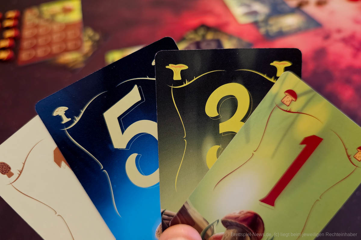 schaetze des waldes test 03