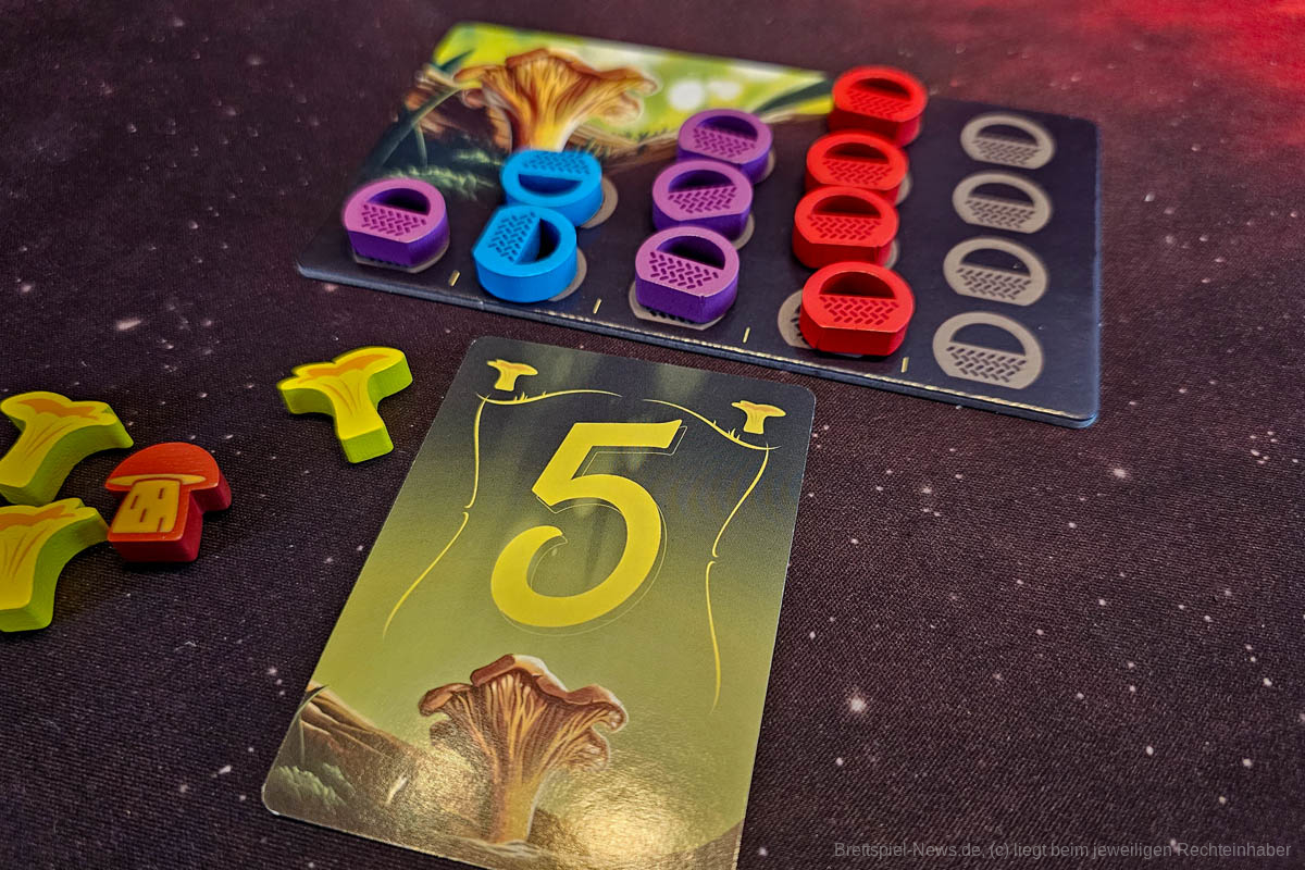 schaetze des waldes test 06