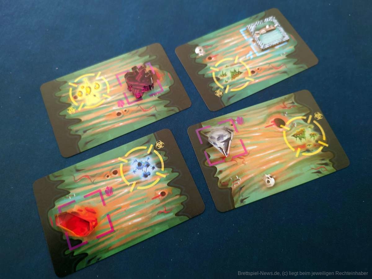 so youve bee eaten test 019