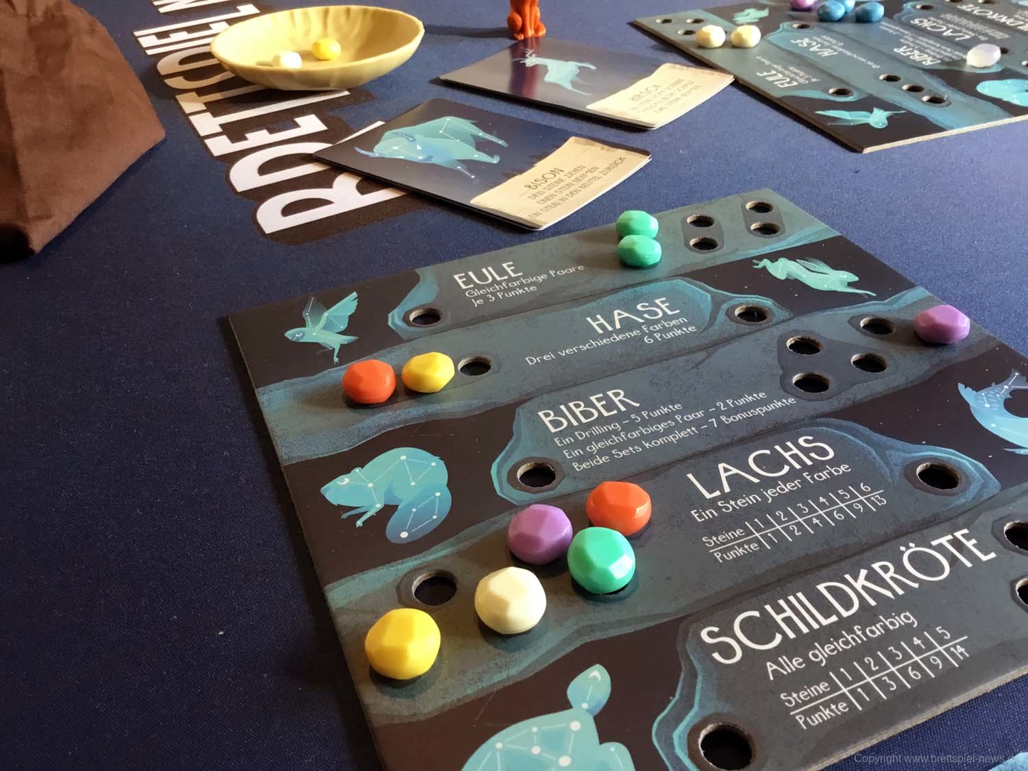 spirits of the wild 25