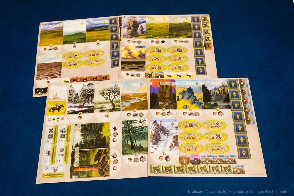 stroganov deluxe 005