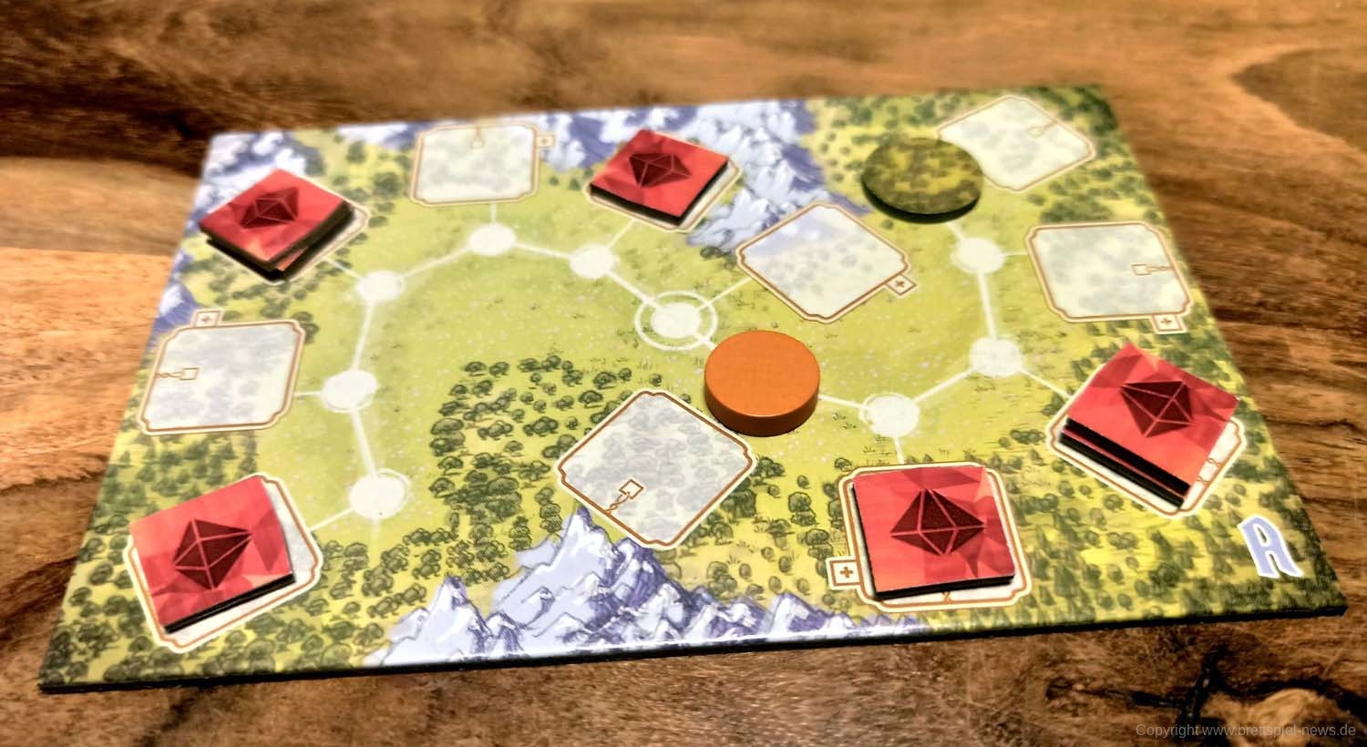 fox in the forest 20