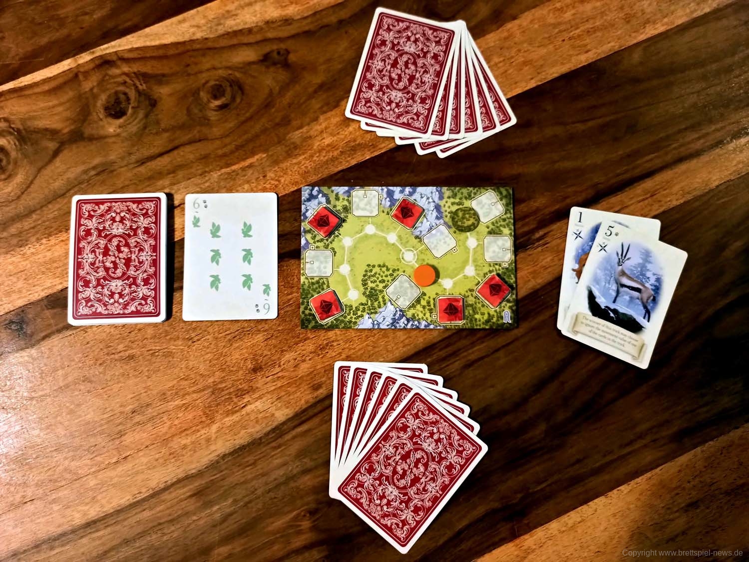 fox in the forest 23