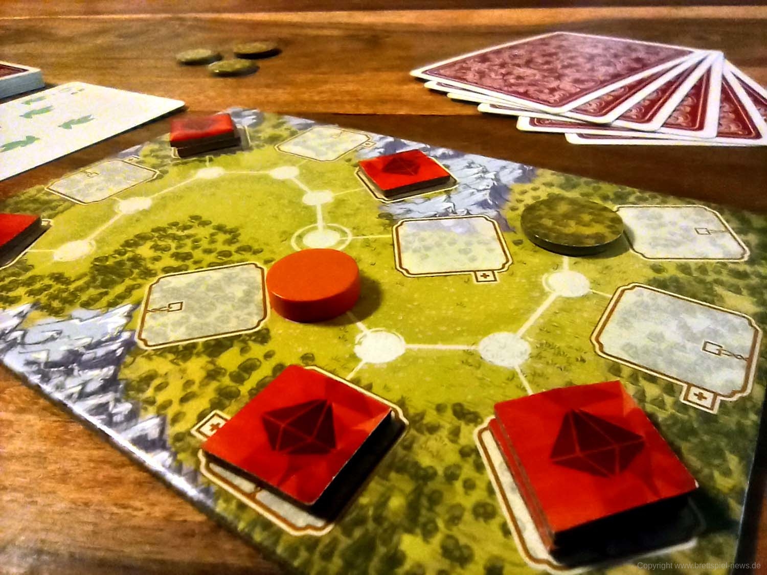 fox in the forest 25