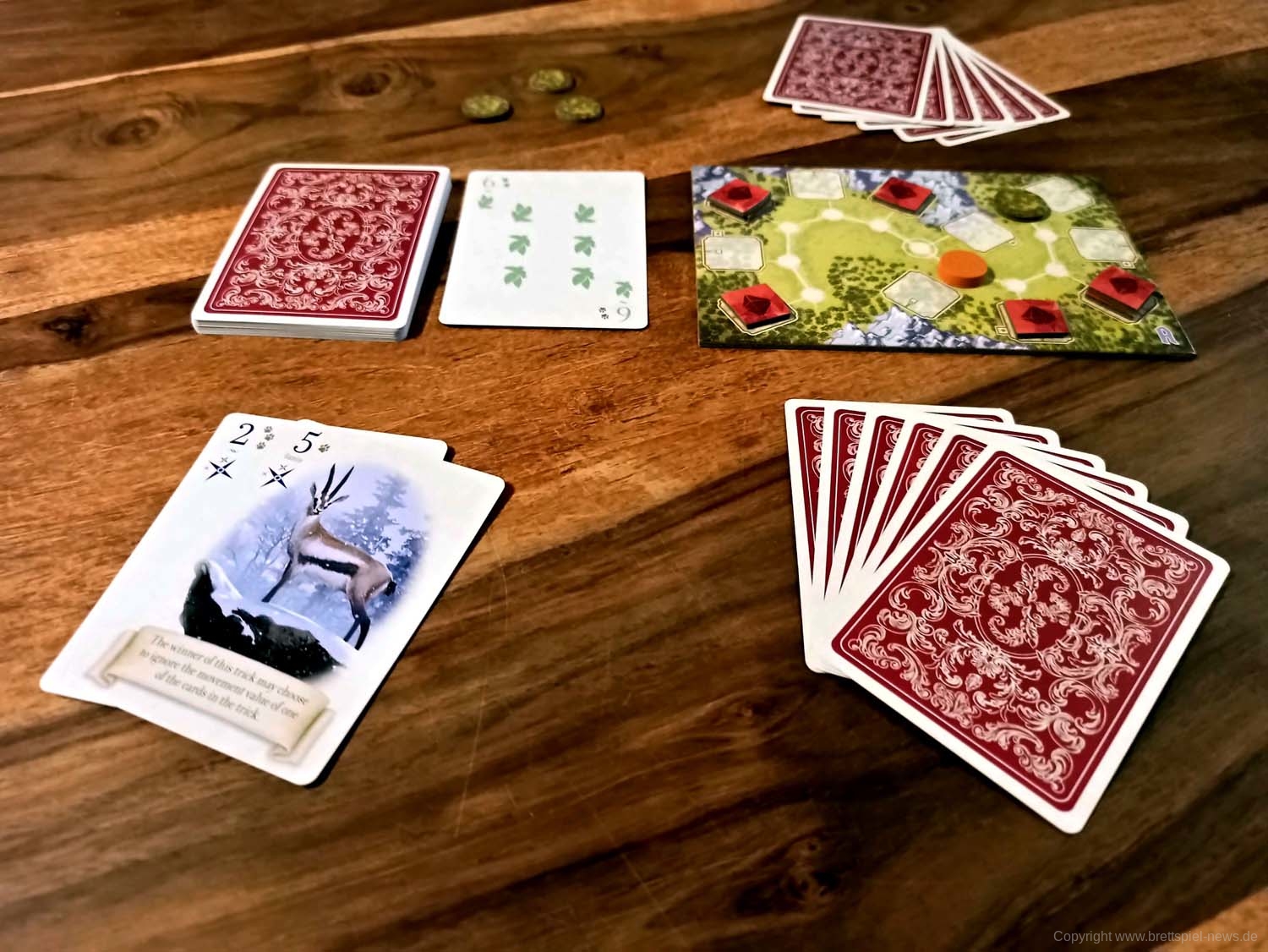 fox in the forest 26