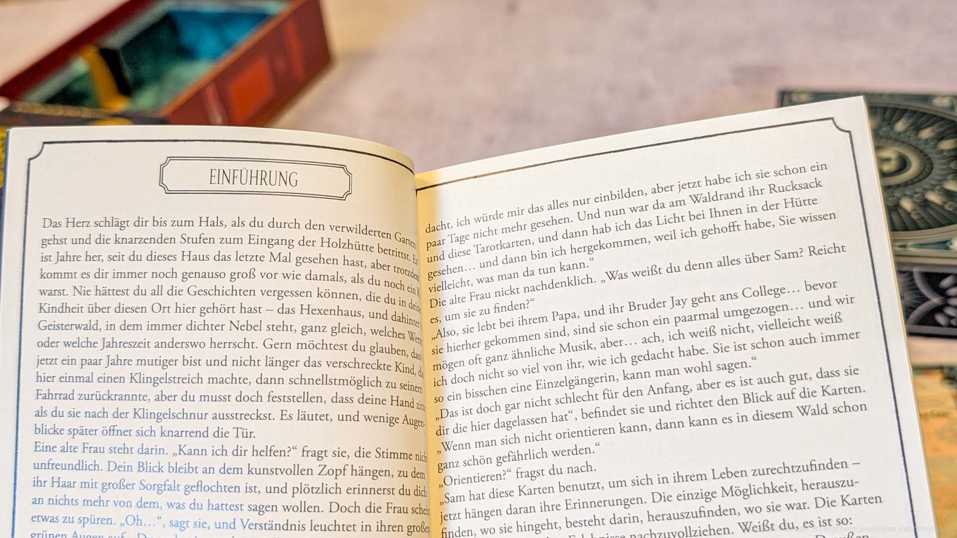 the light in the mist 03