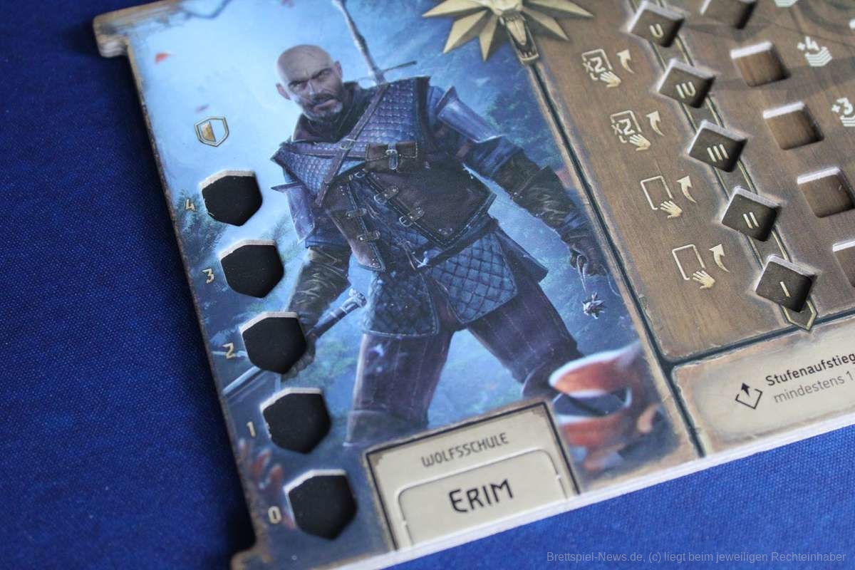 the witcher alte welt test 000