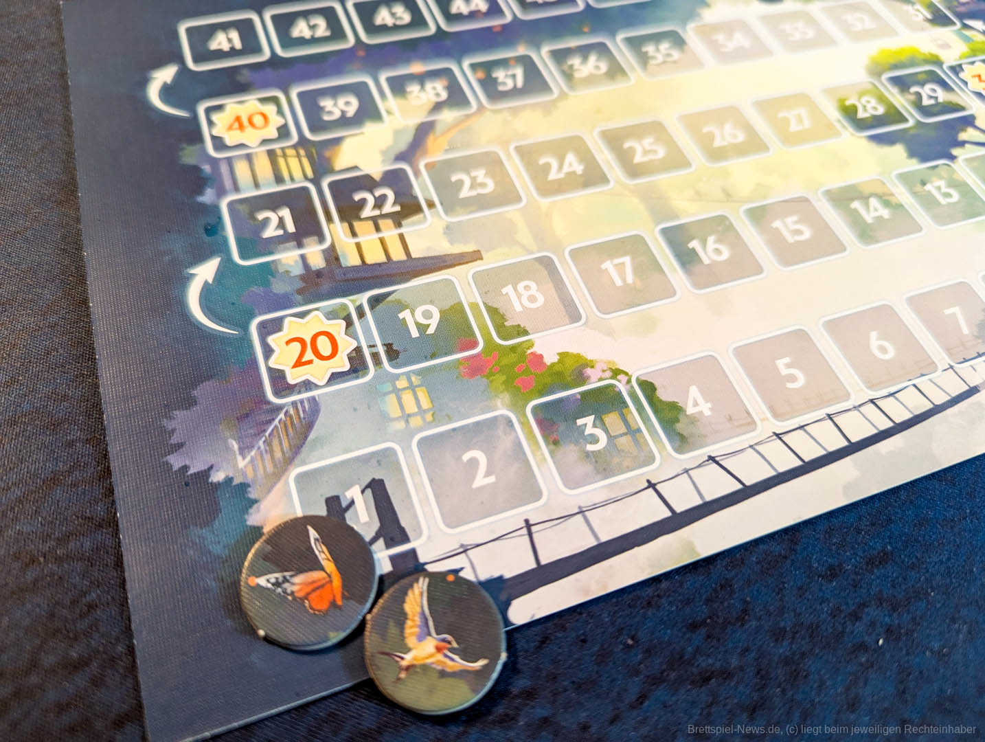 tree society test 000