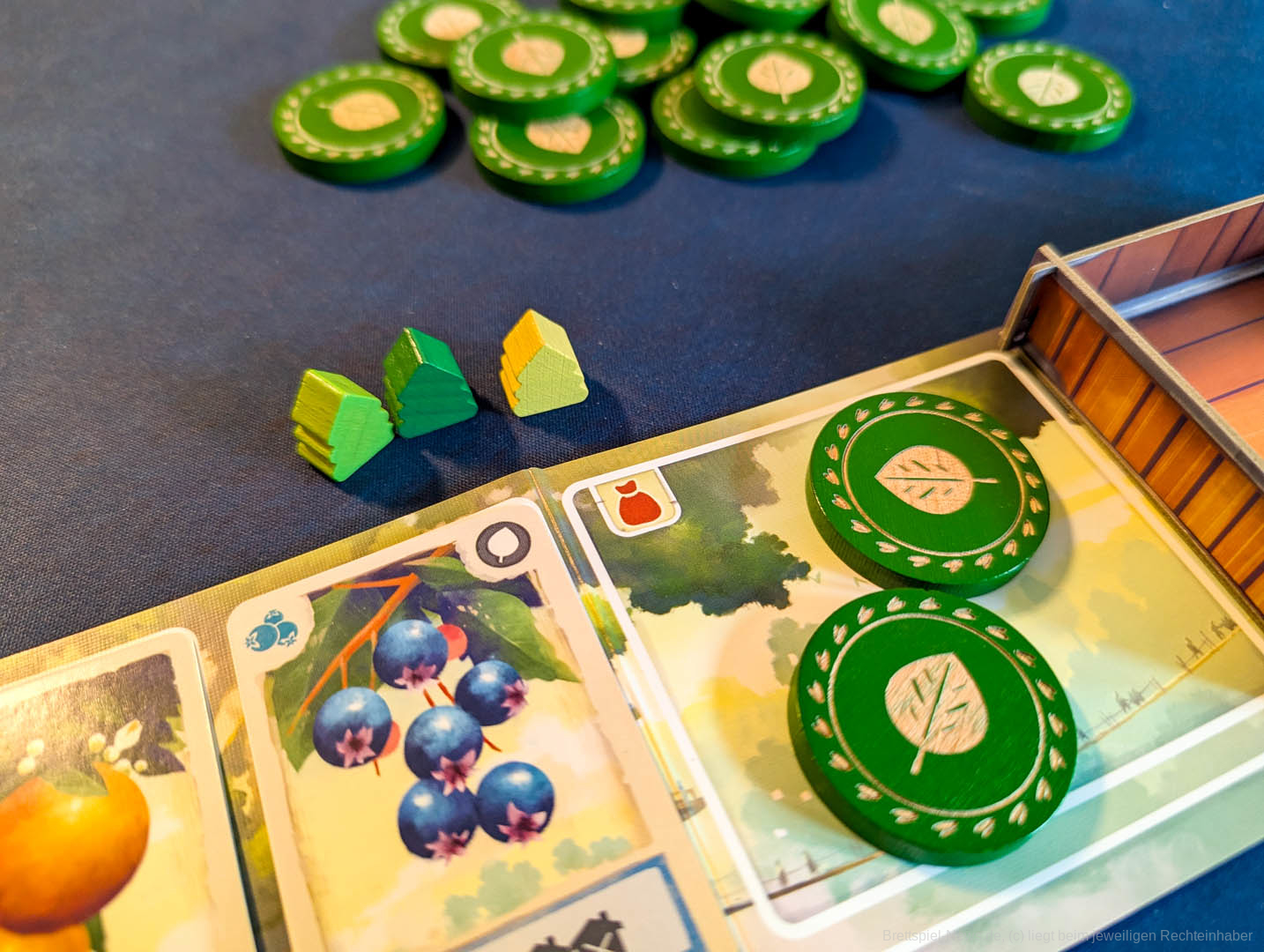 tree society test 001