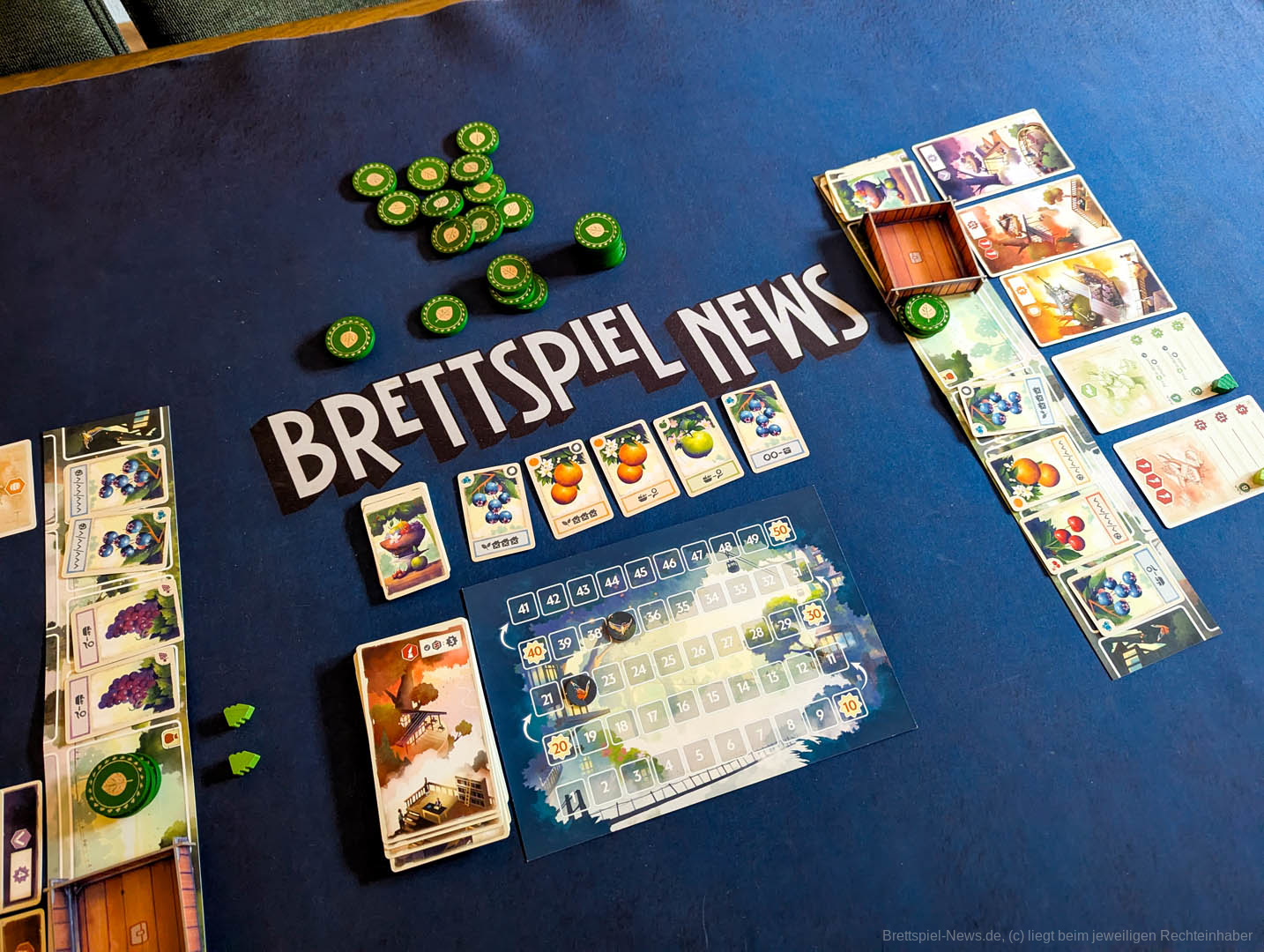 tree society test 005