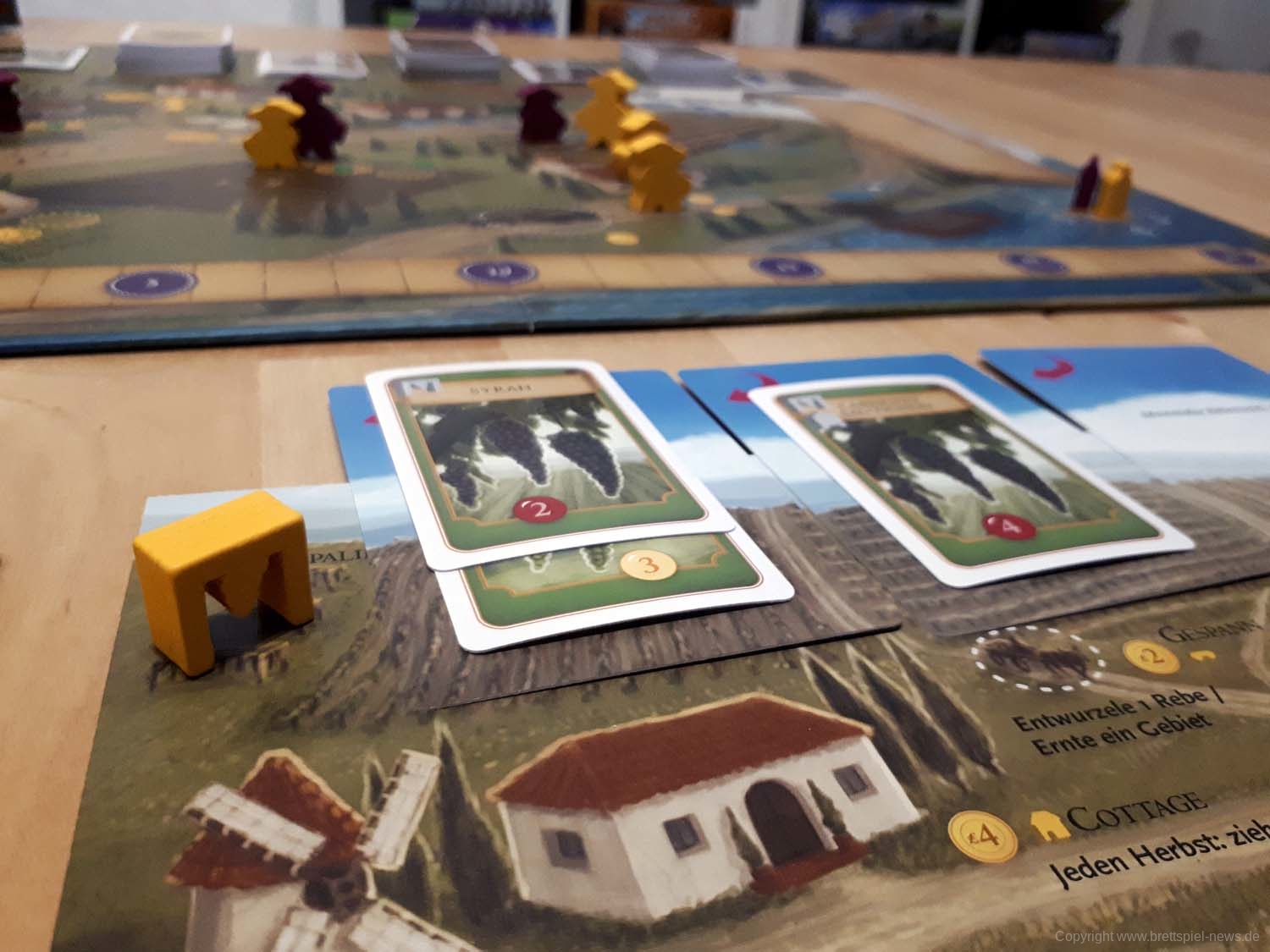 viticulture 25