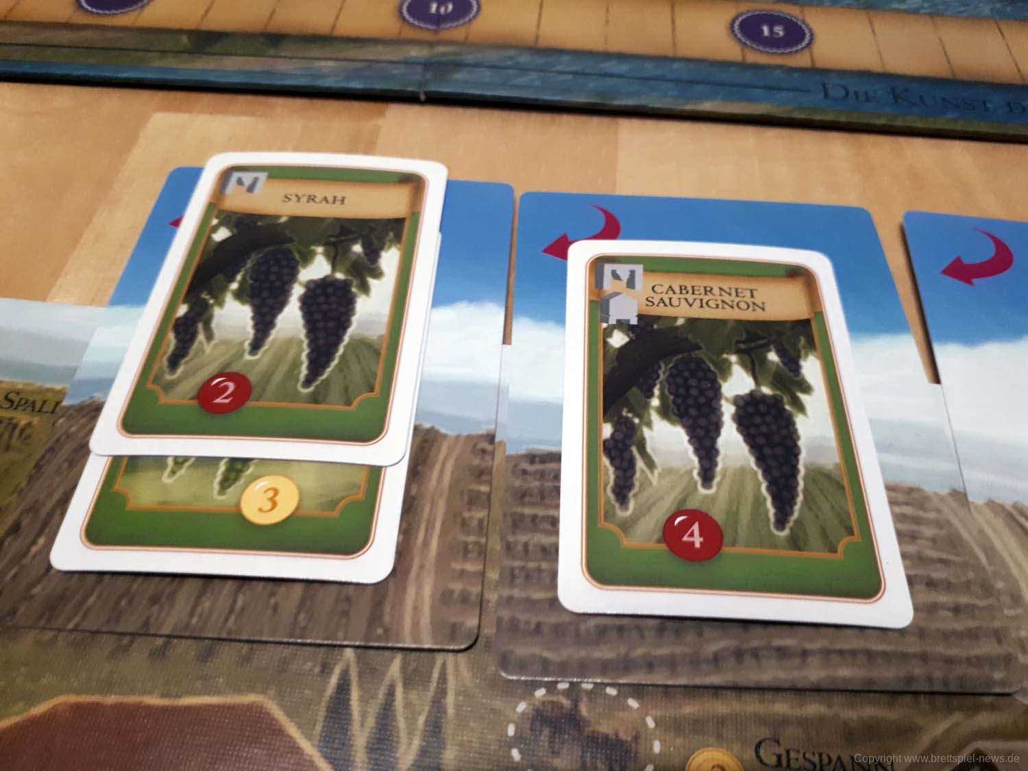 viticulture 29