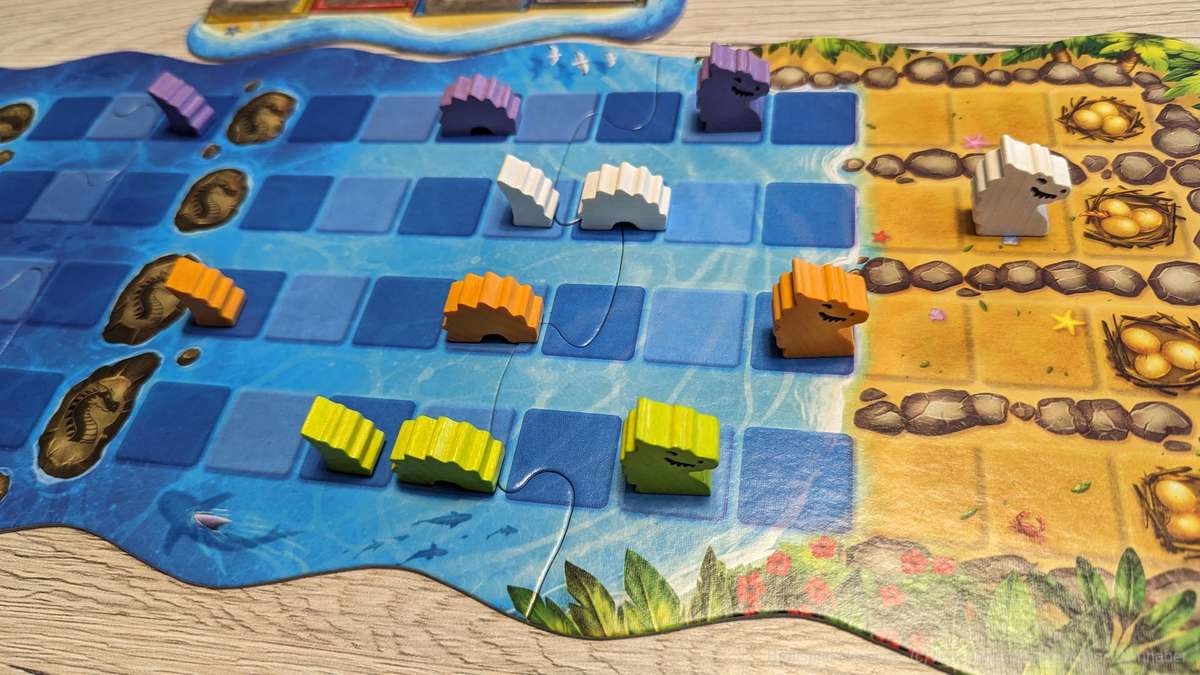 wasserdrachen test 012