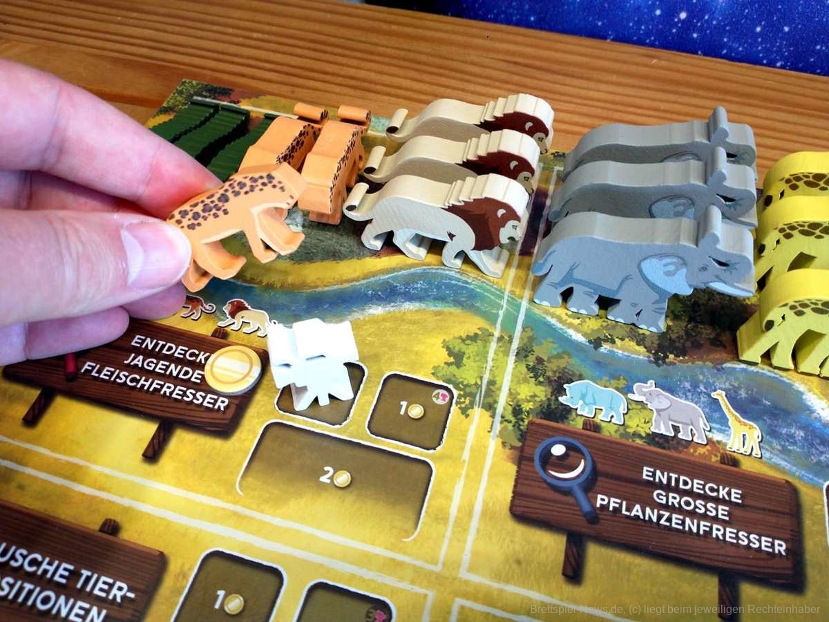 wilde serengeti test 017