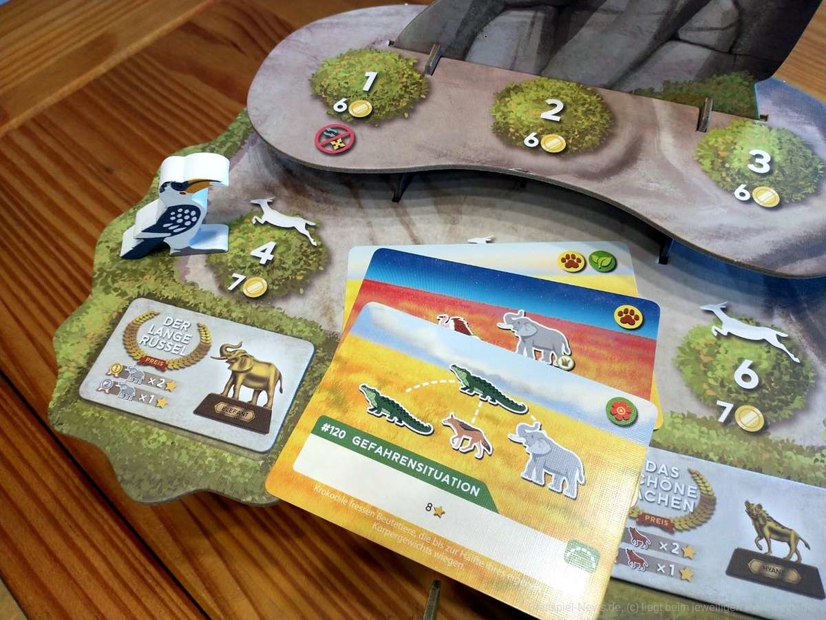 wilde serengeti test 026