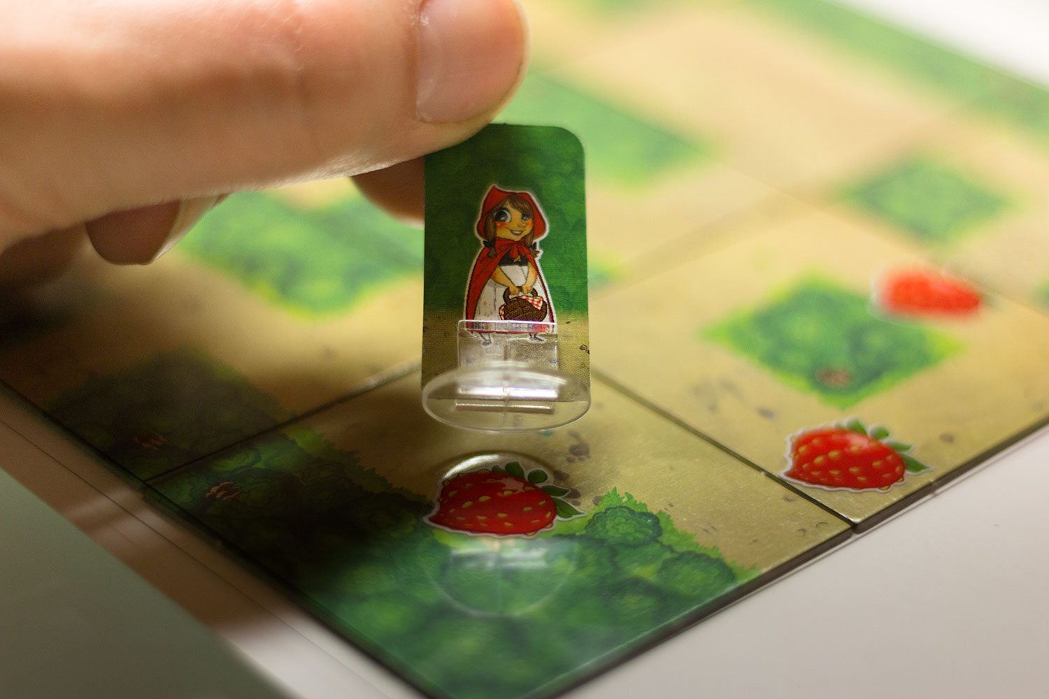 Test: Woodlands – Ein tolles Legespiel für Familien