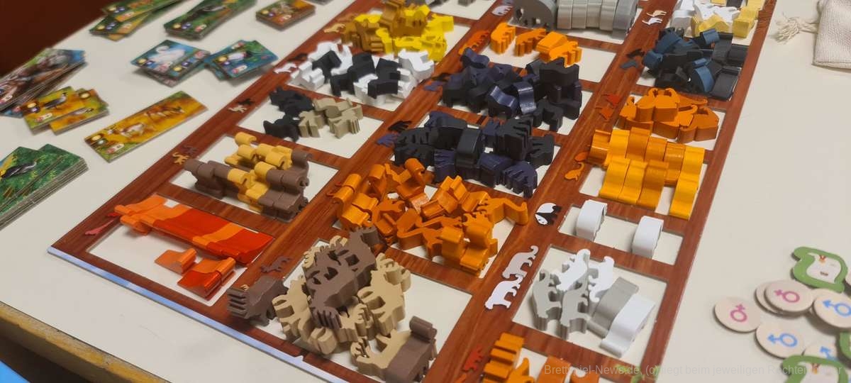 zoo tycoon proto test 004