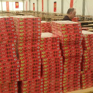 Weltrekordversuch in Mensch ärgere Dich nicht