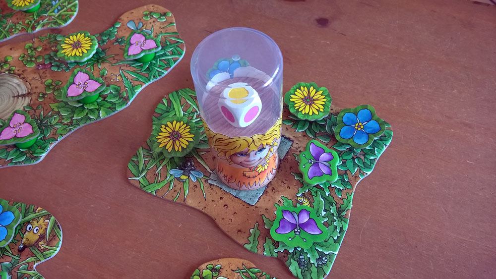 Spring ins Feld! von Anja Dreier-Brückner & Klaus Zoch