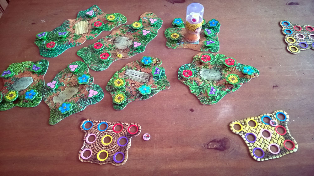 Spring ins Feld! von Anja Dreier-Brückner & Klaus Zoch