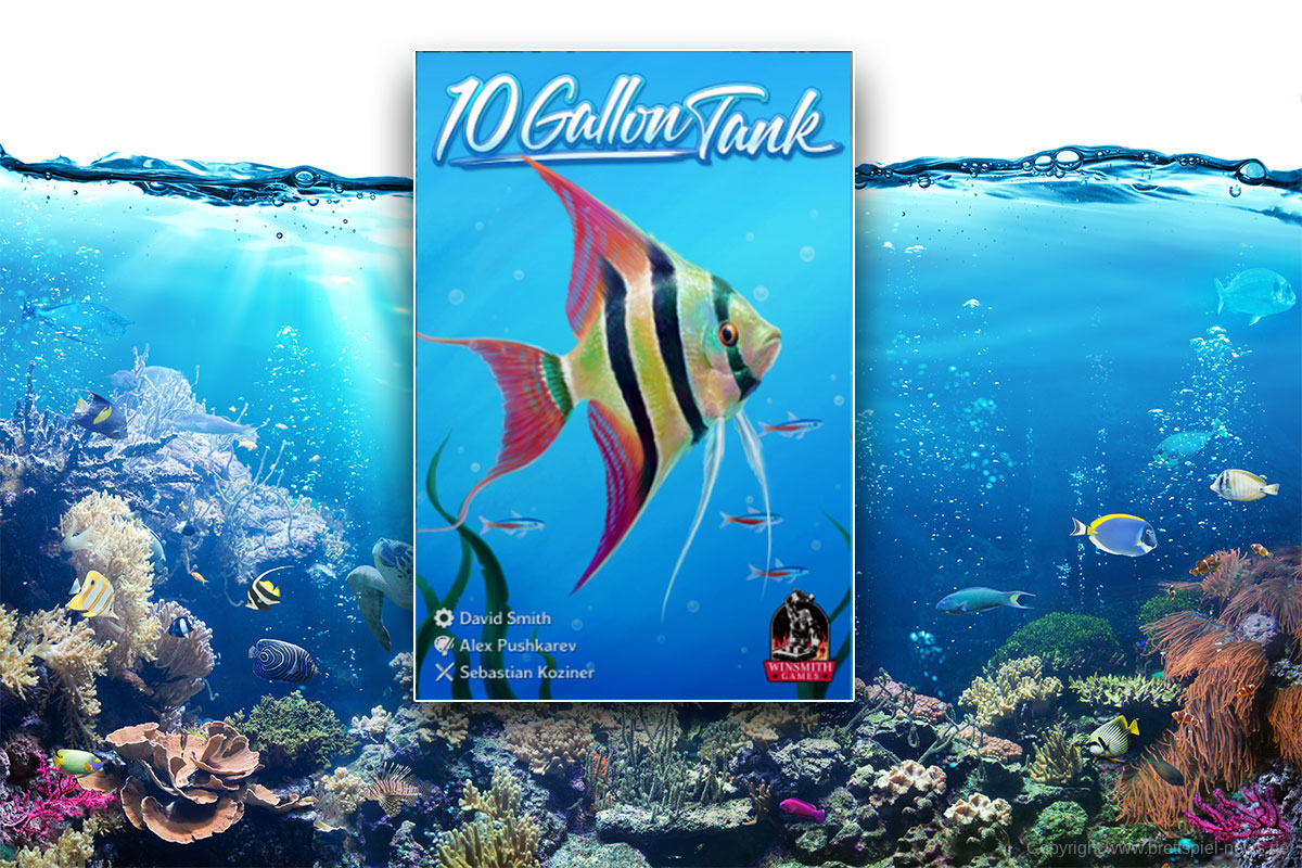 10 GALLON TANK // Herbstneuheit für Aquarienliebhaber