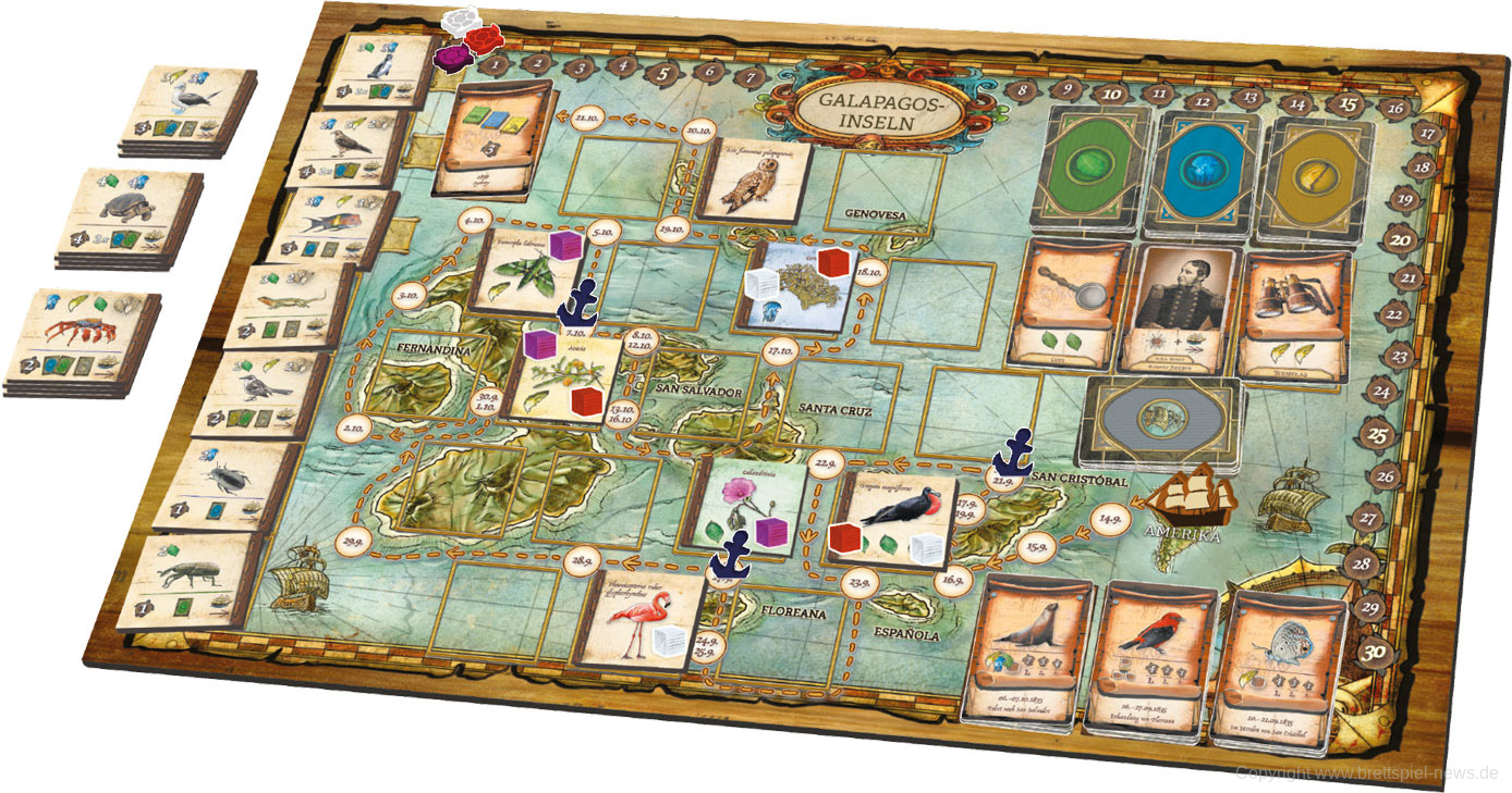 UEBER DIE ENTSTEHUNG DER ARTEN spielfeld