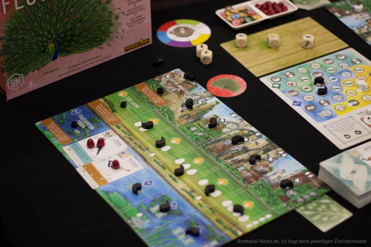 fluegelschlag asien erweiterung 001