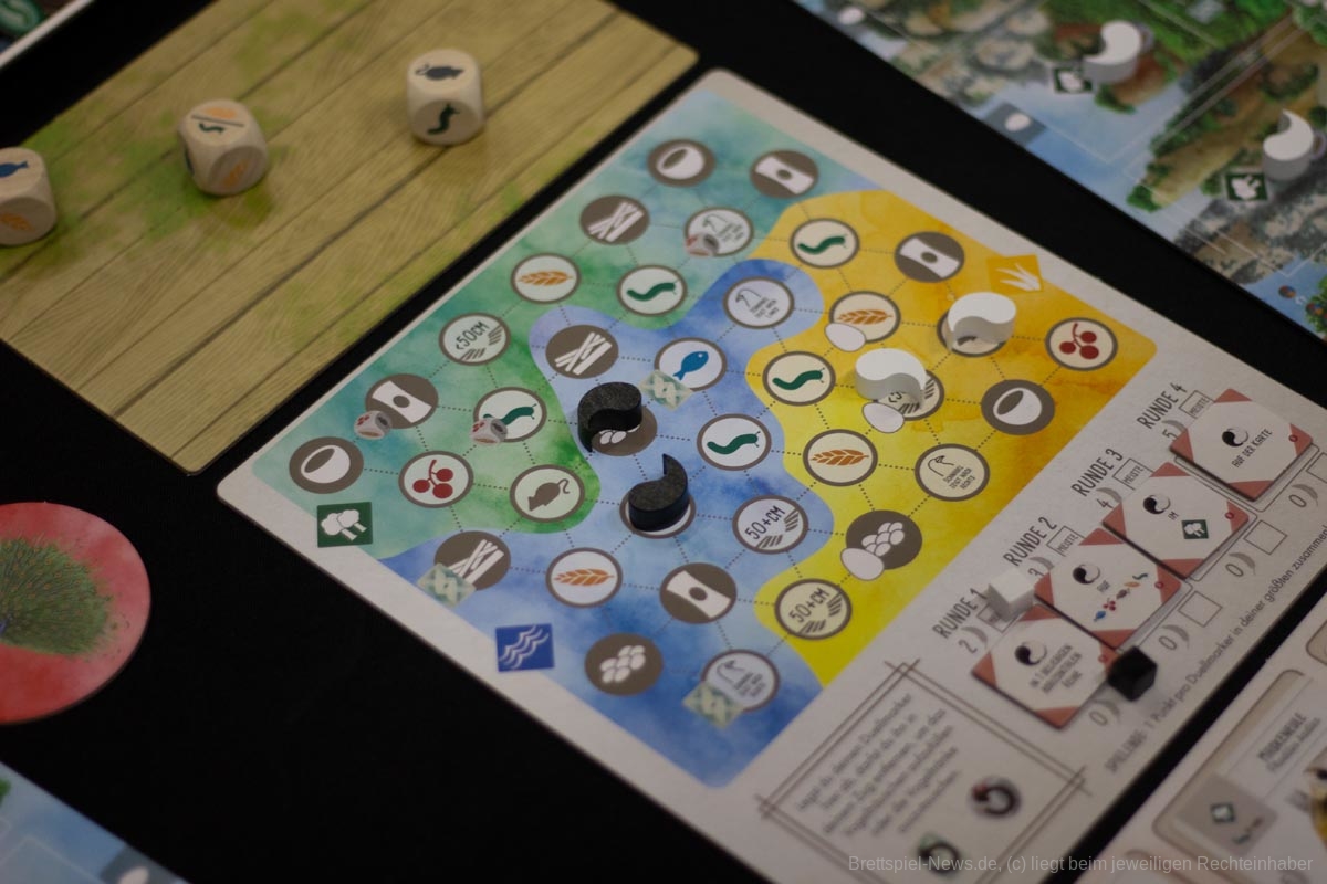 fluegelschlag asien erweiterung 002