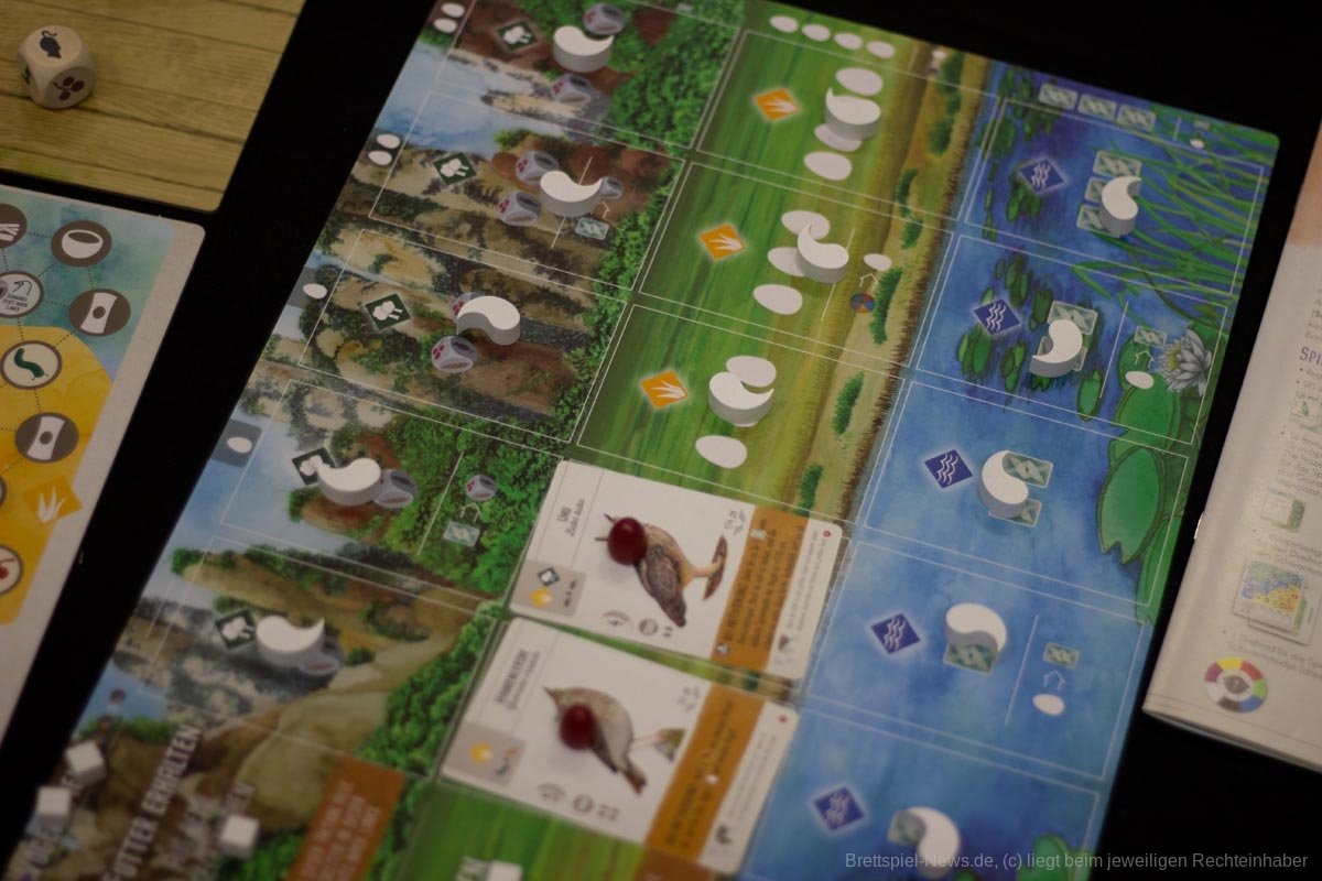 fluegelschlag asien erweiterung 003