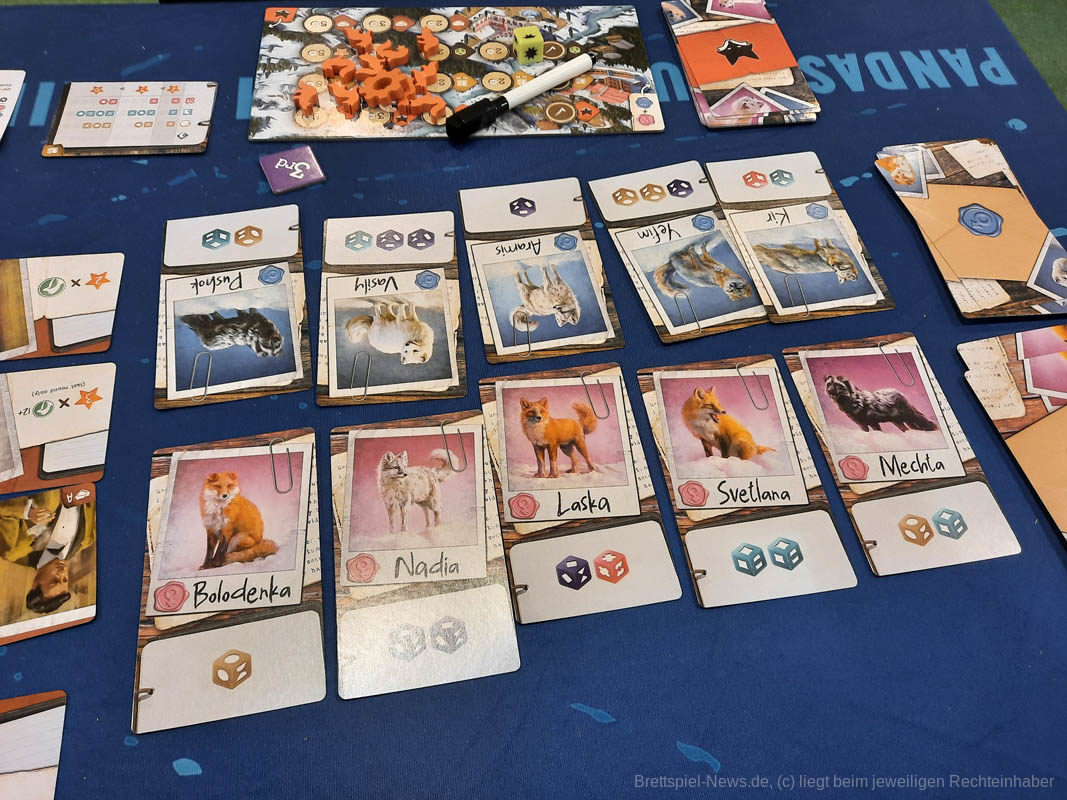 the fox experiment 00