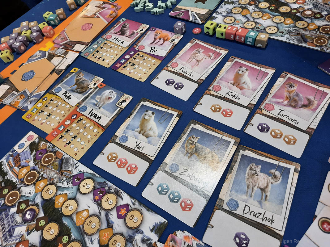 the fox experiment 14