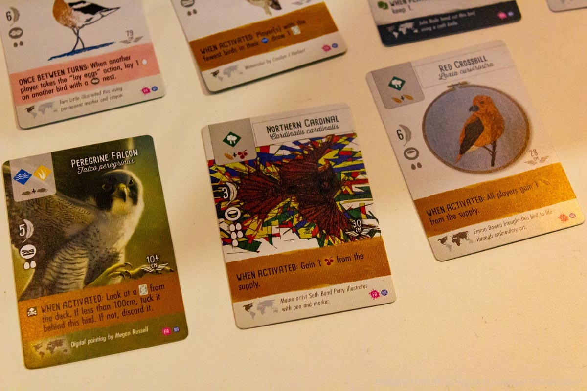 wingspan fan art pack00