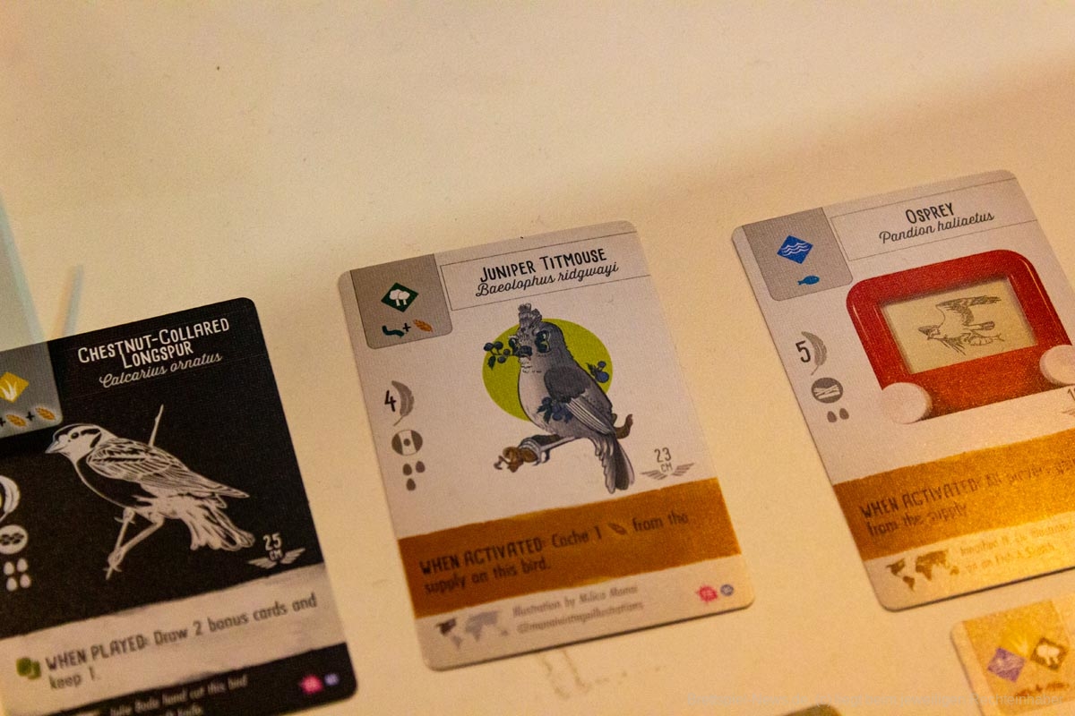 wingspan fan art pack01