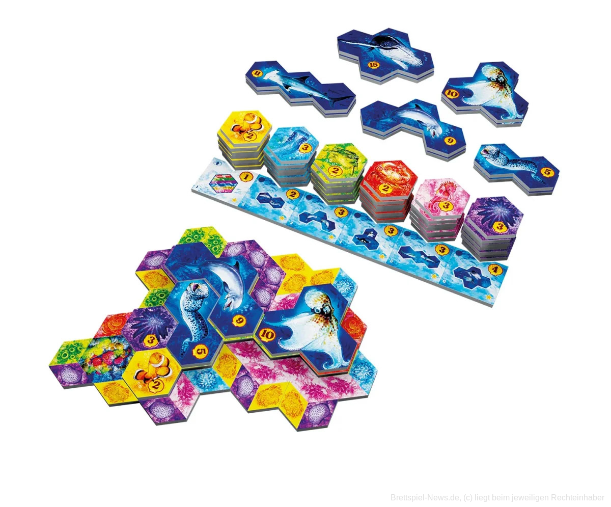 aqua bunte unterwasserwelten3