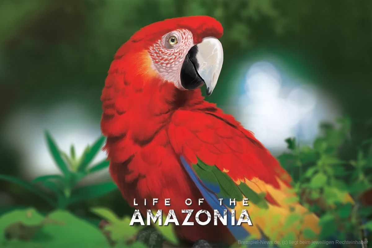 Extrem gut bewertetes Kennerspiel erscheint bei Strohmann Games