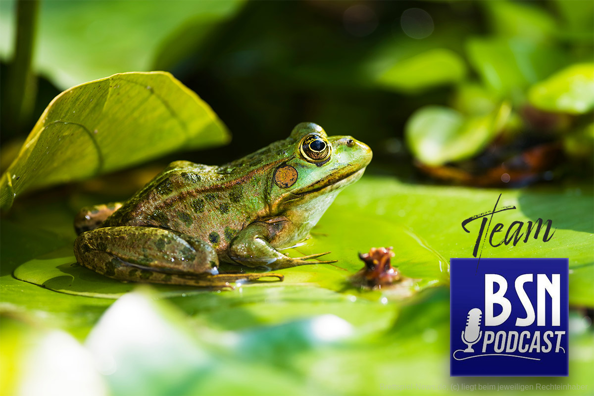 #547 BSN Team (103) | Froschmageddon - Gefühlschaos im feudalen Japan!