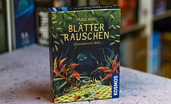 TEST // BLÄTTERRAUSCHEN - JAHRESZEITEN IM WALD