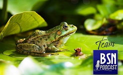 #547 BSN Team (103) | Froschmageddon - Gefühlschaos im feudalen Japan!