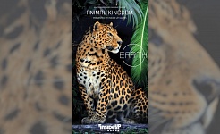 „Animal Kingdom“ 