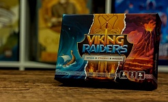 Viking Raiders