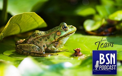 #547 BSN Team (103) | Froschmageddon - Gefühlschaos im feudalen Japan!