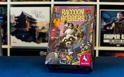 Test | Raccoon Robbers